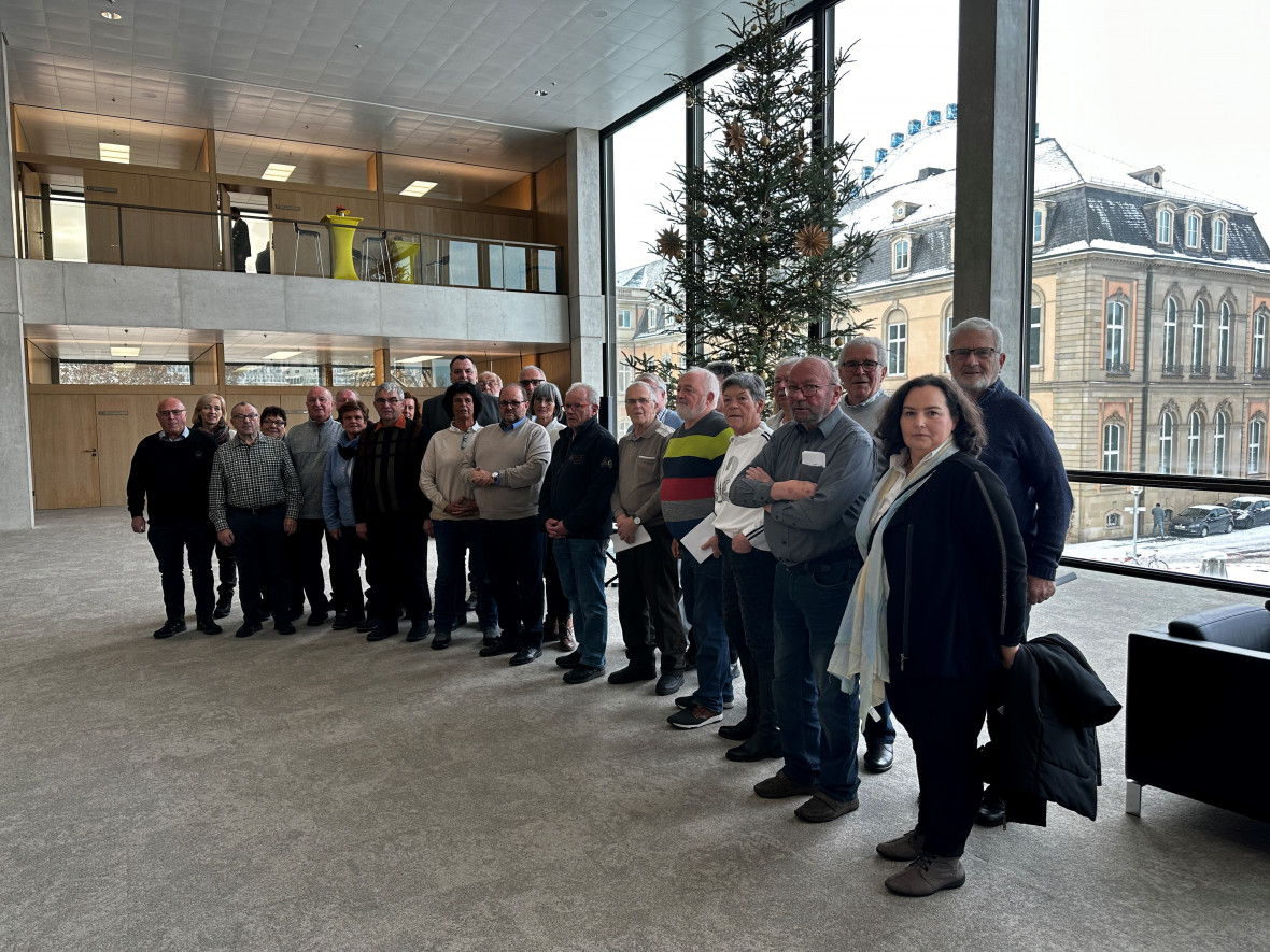 Die Besuchergruppe aus dem Wahlkreis vor dem Weihnachtsbaum des Landtags (Foto: Jana Wintterlin)